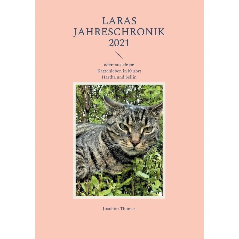 Laras Jahreschronik 2021