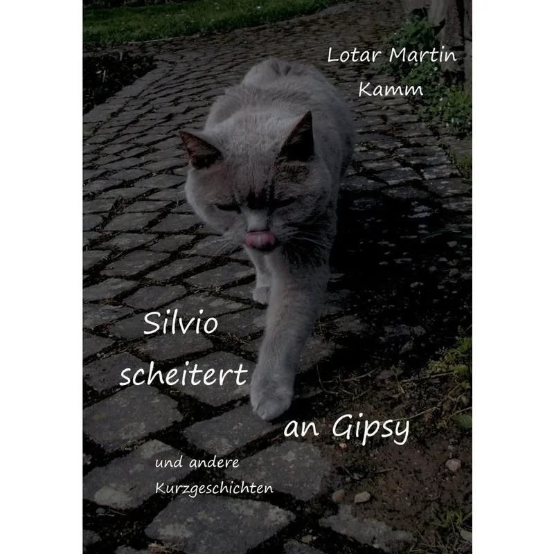 Silvio Scheitert An Gipsy