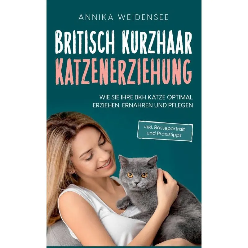 Britisch Kurzhaar Katzenerziehung