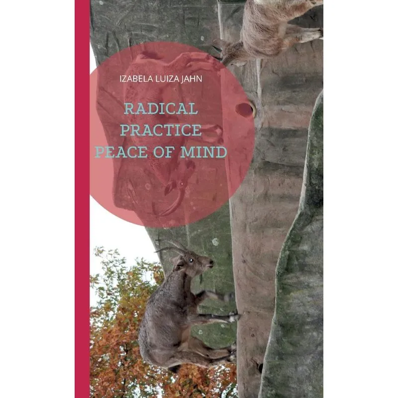 Radical Practice Peace Of Mind