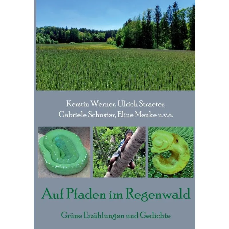 Auf Pfaden Im Regenwald