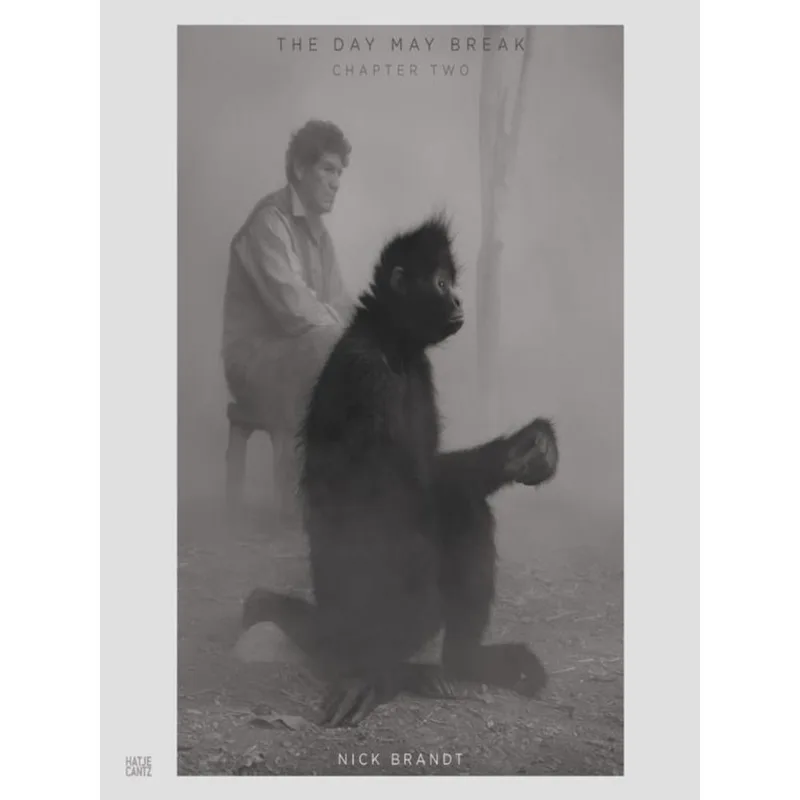 NICK BRANDT - THE DAY MAY BREAK - CHAPTER TWO