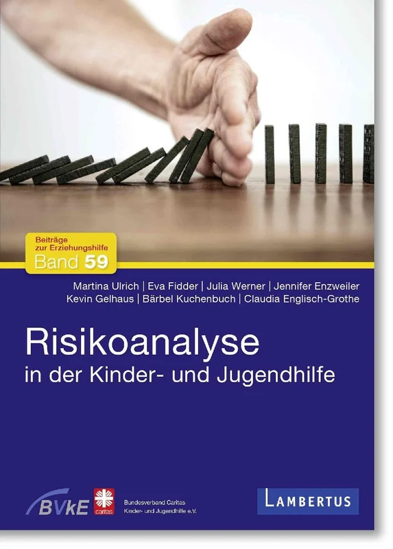 Risikoanalyse in der Kinder- und Jugendhilfe