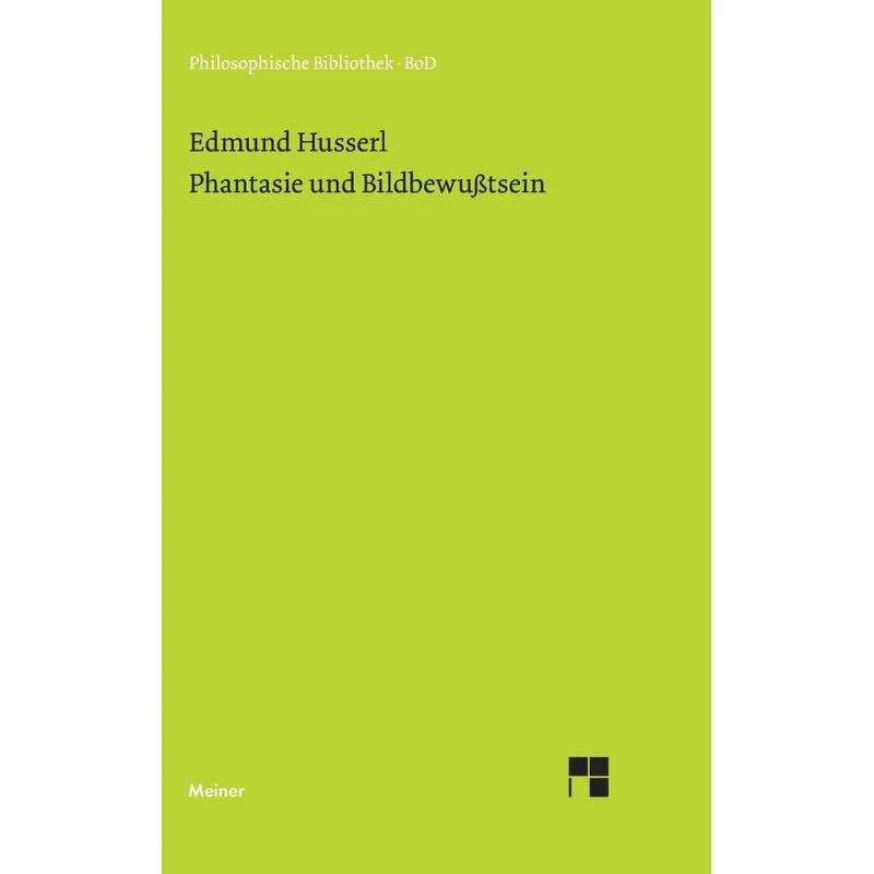 Phantasie und Bildbewußtsein