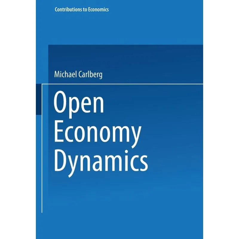 Open Economy Dynamics