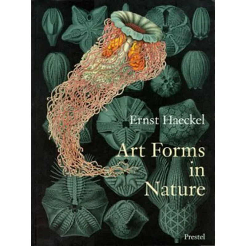 ART FORMS IN NATURE