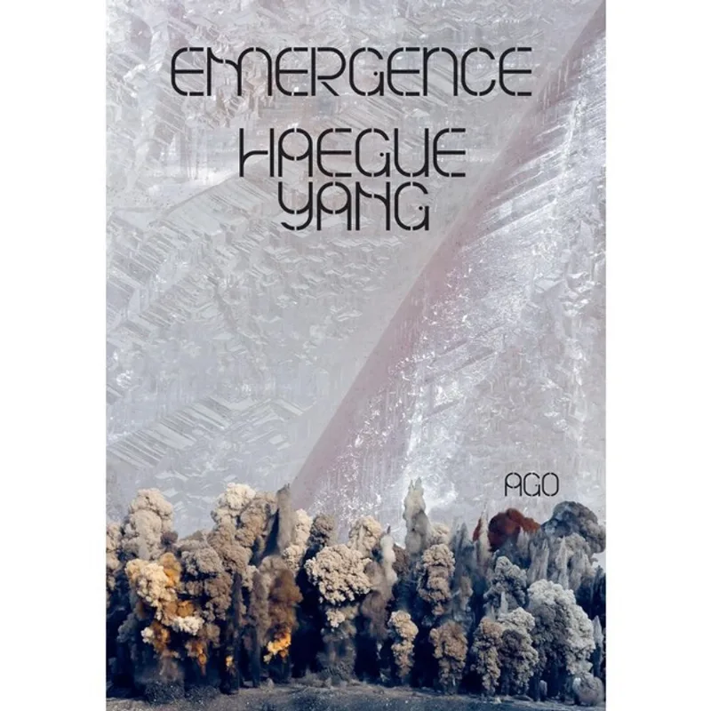 HAEGUE YANG - EMERGENCE