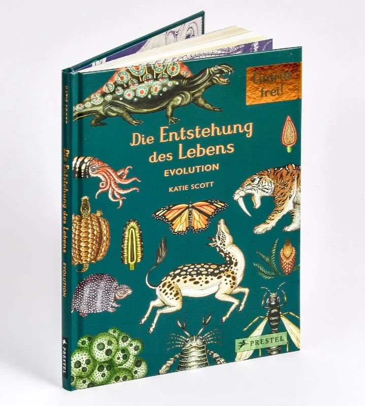 Die Entstehung des Lebens. Evolution