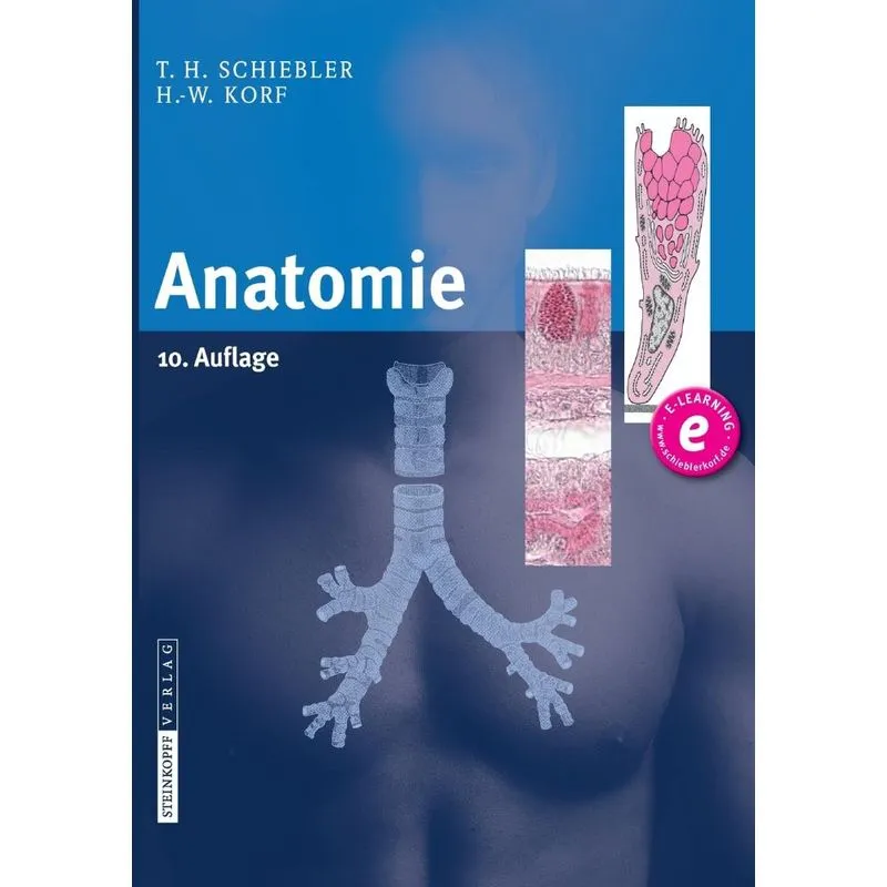 Anatomie