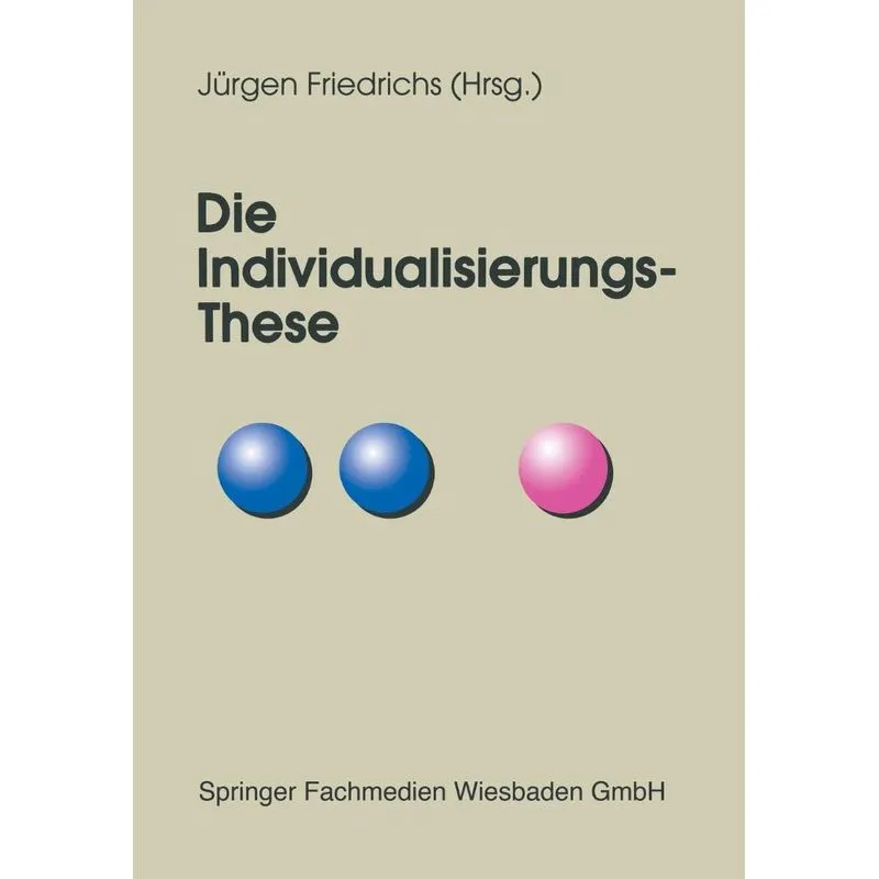 Die Individualisierungs-These
