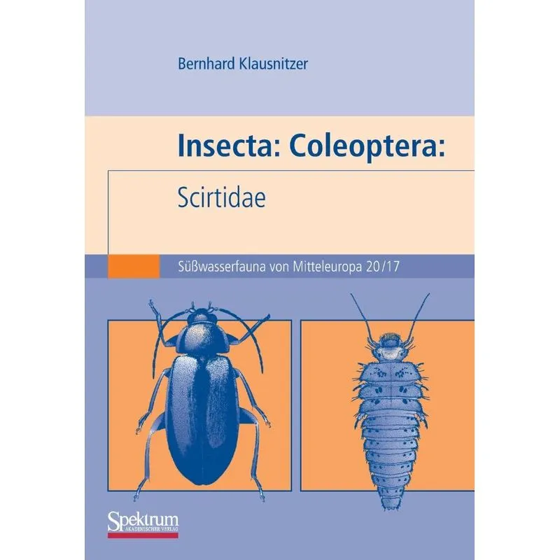 Insecta