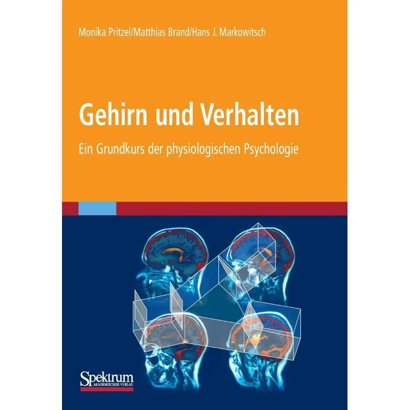 Gehirn und Verhalten