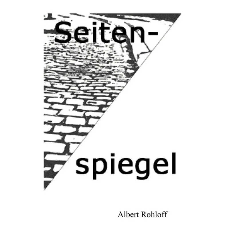 Seitenspiegel