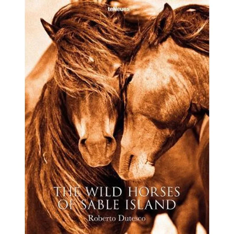 THE WILD HORSES OF SABLE ISLAND