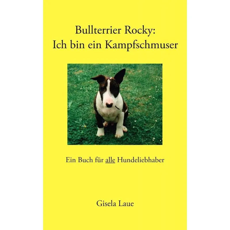 Bullterrier Rocky