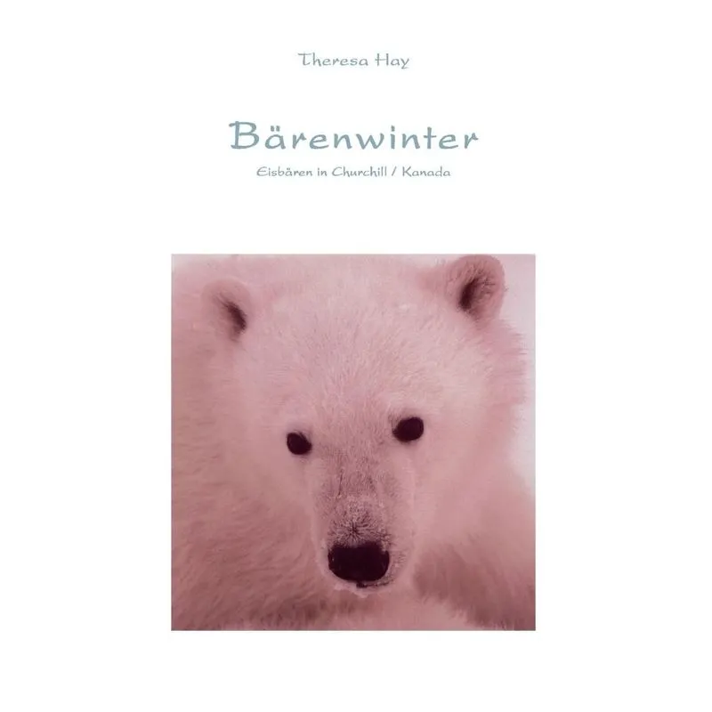 Bärenwinter