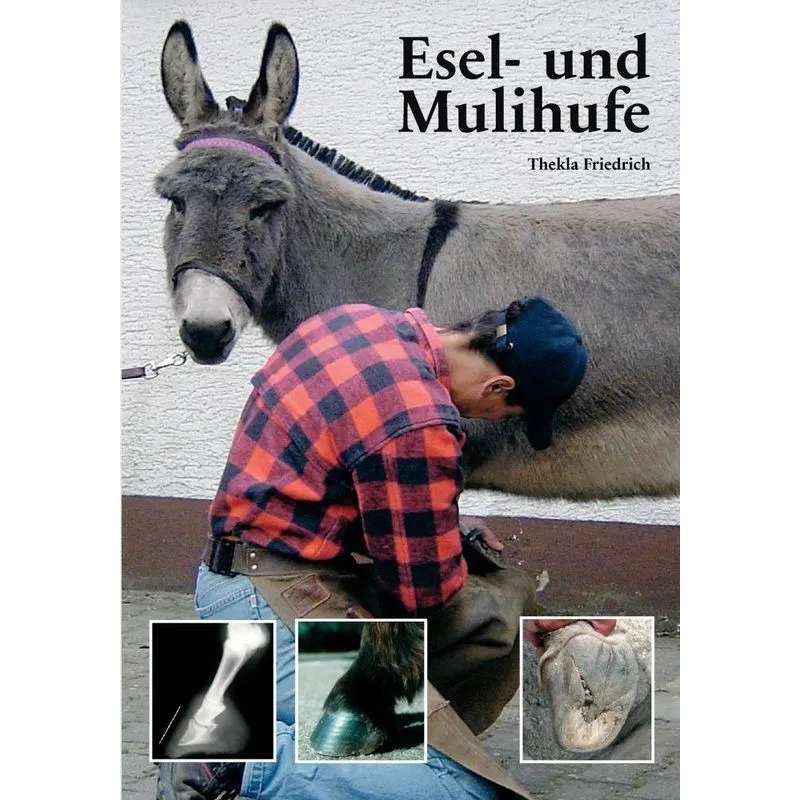Esel- Und Mulihufe