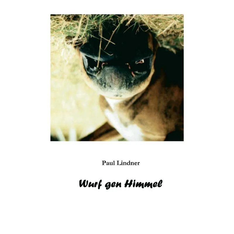 Wurf gen Himmel