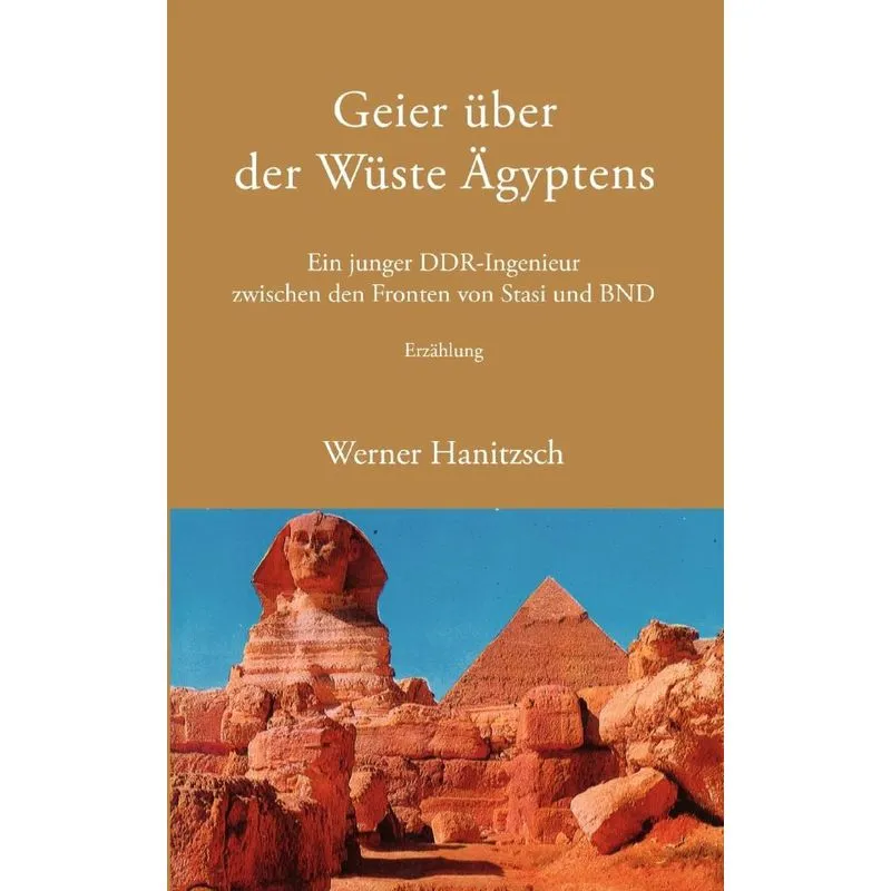 Geier über der Wüste Ägyptens