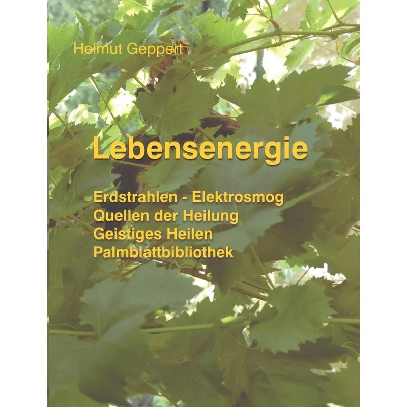 Lebensenergie