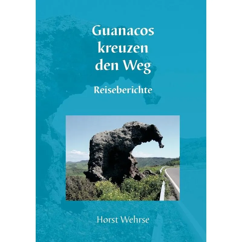 Guanacos kreuzen den Weg