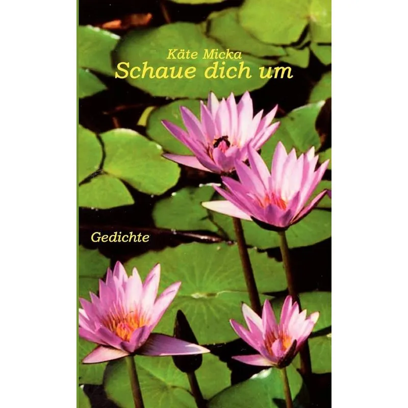 Schaue Dich Um