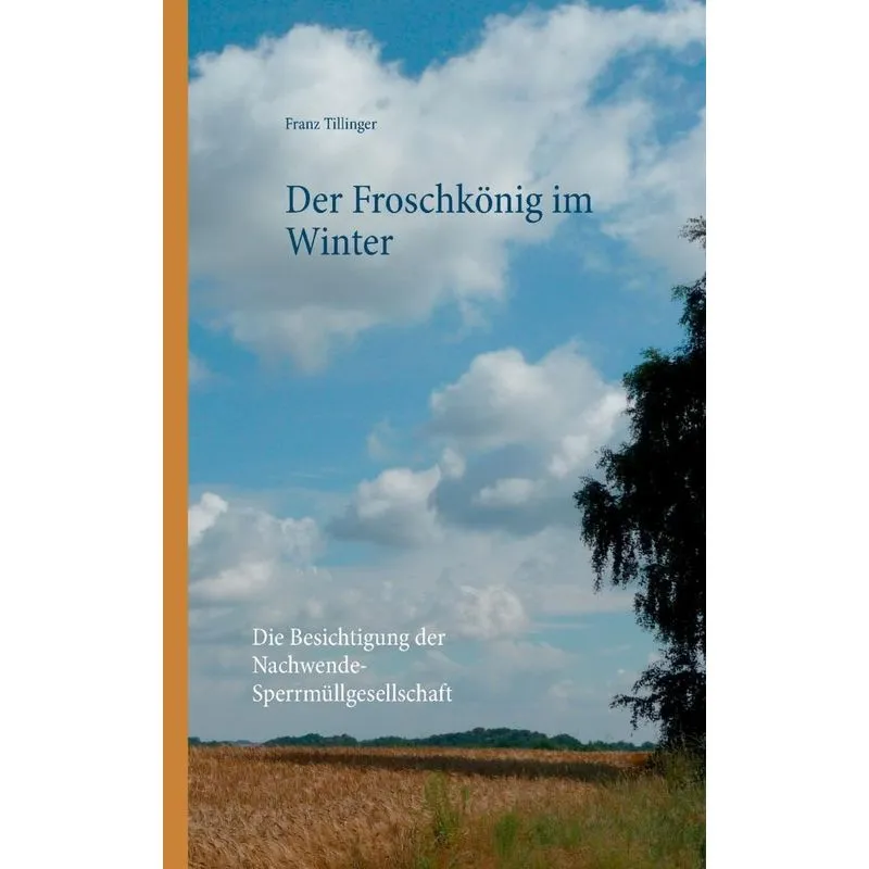 Der Froschkönig Im Winter