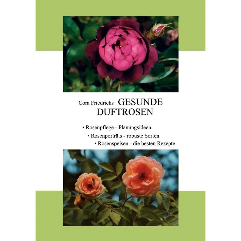 Gesunde Duftrosen