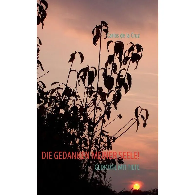Die Gedanken Meiner Seele!