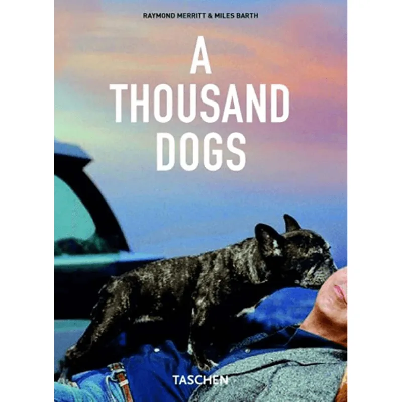 A THOUSAND DOGS