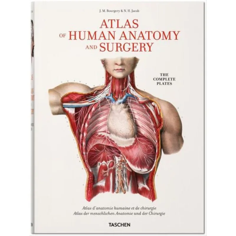 BOURGERY. ATLAS OF HUMAN ANATOMY AND SURGERY