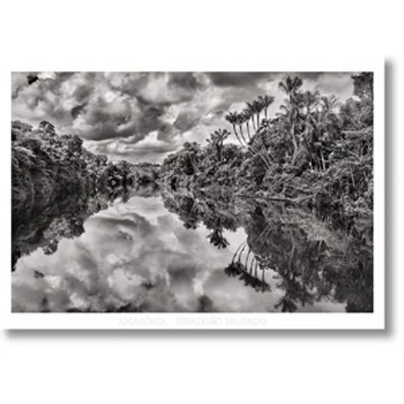 Amazonia Poster Jau River
