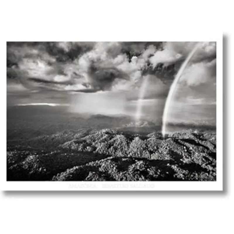 Amazonia Poster Rainbow