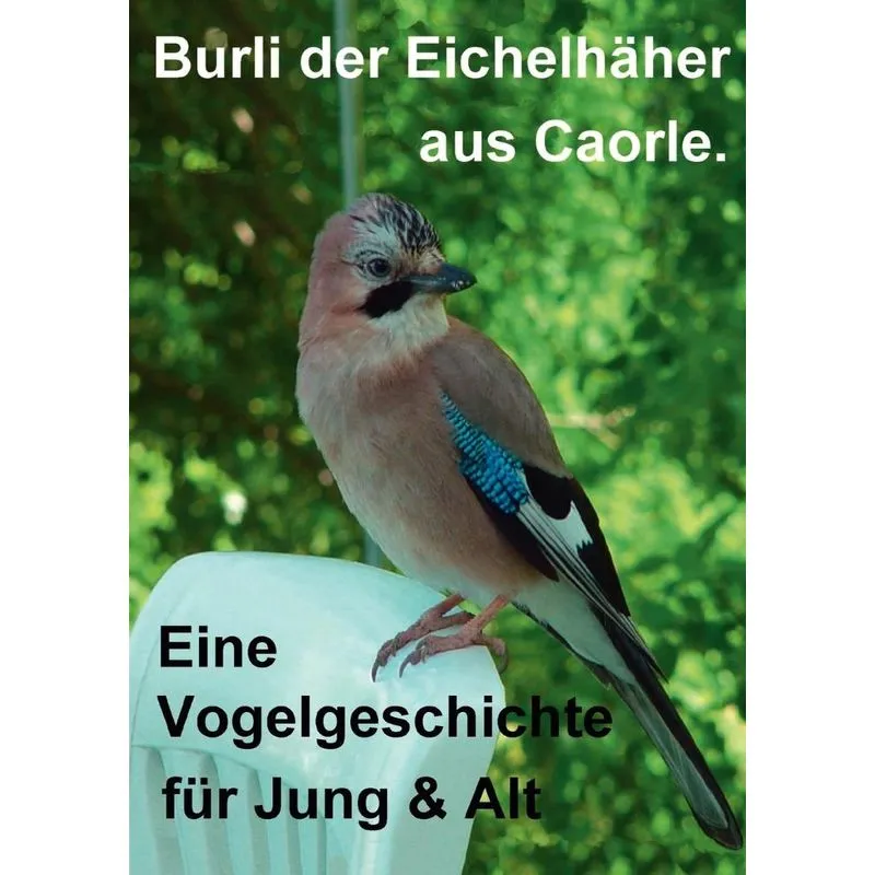 Burli der Eichelhäher aus Caorle