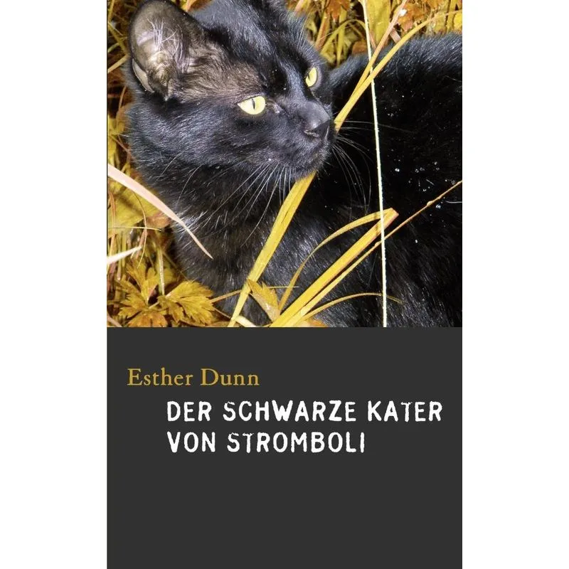 DER SCHWARZE KATER VON STROMBOLI