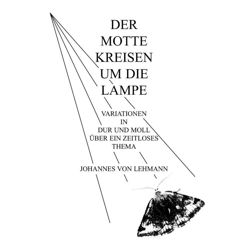 Der Motte Kreisen Um Die Lampe