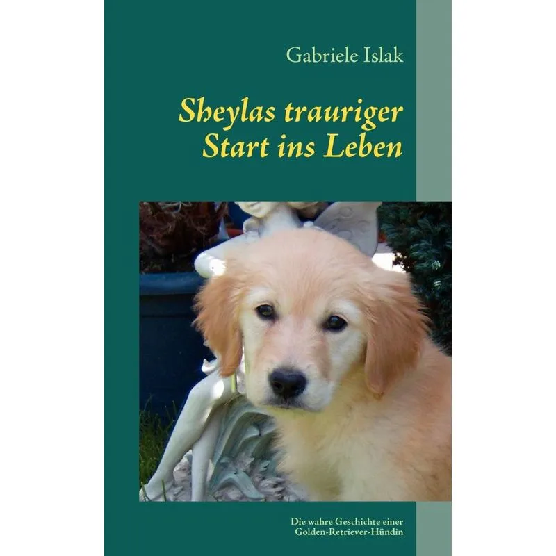 Sheylas Trauriger Start Ins Leben