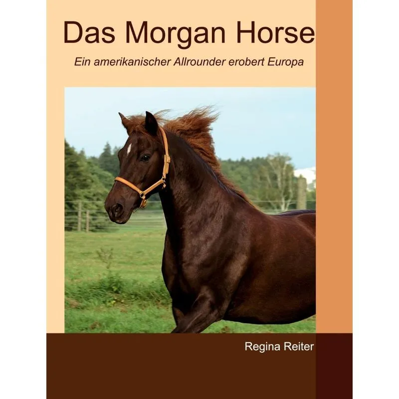 Das Morgan Horse