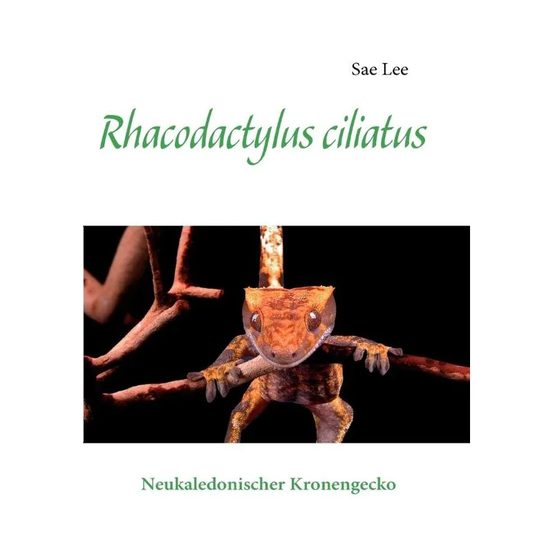 Rhacodactylus Ciliatus