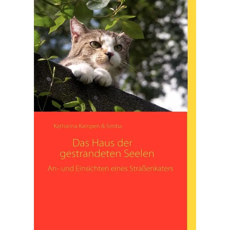 Das Haus der gestrandeten Seelen