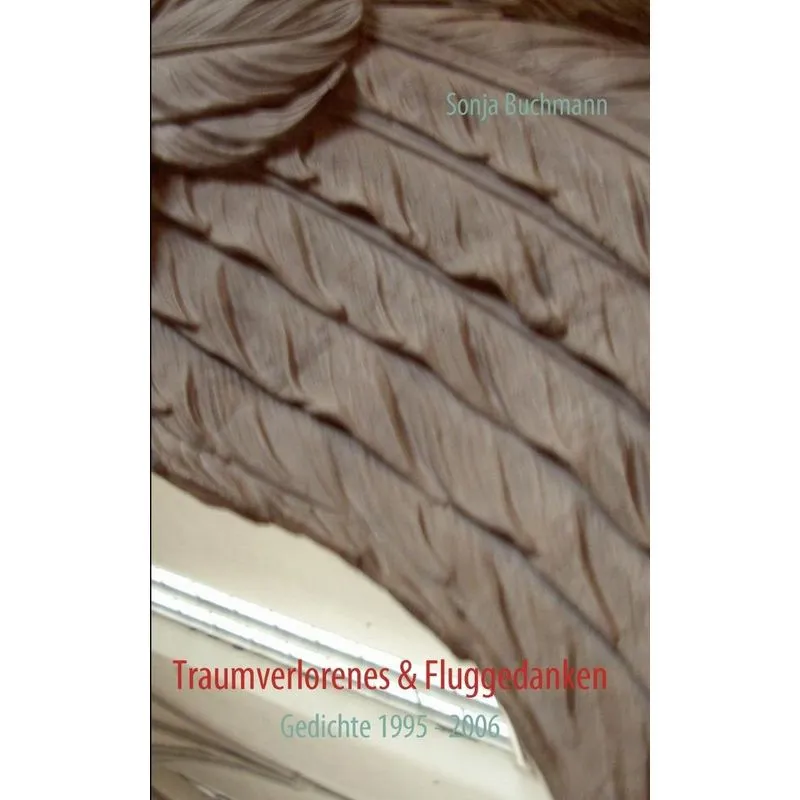 Traumverlorenes & Fluggedanken