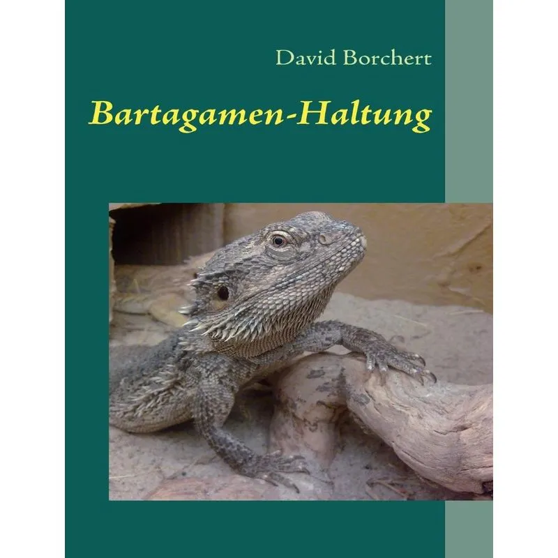 Bartagamen-Haltung