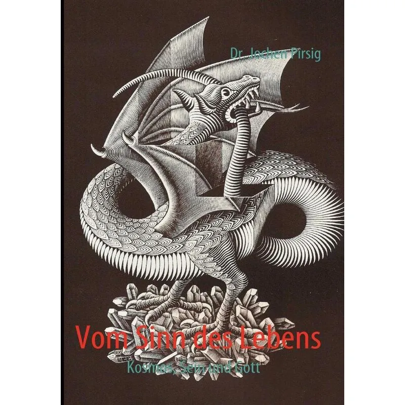 Vom Sinn Des Lebens