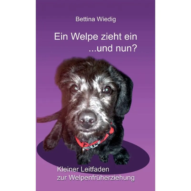 Ein Welpe zieht ein ... und nun?