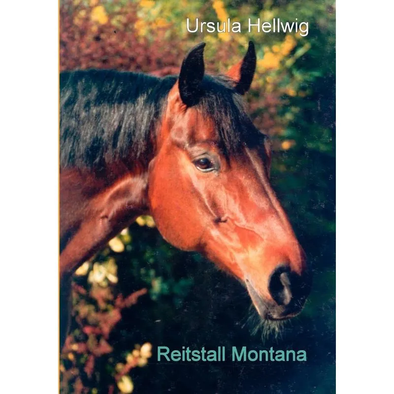 Reitstall Montana