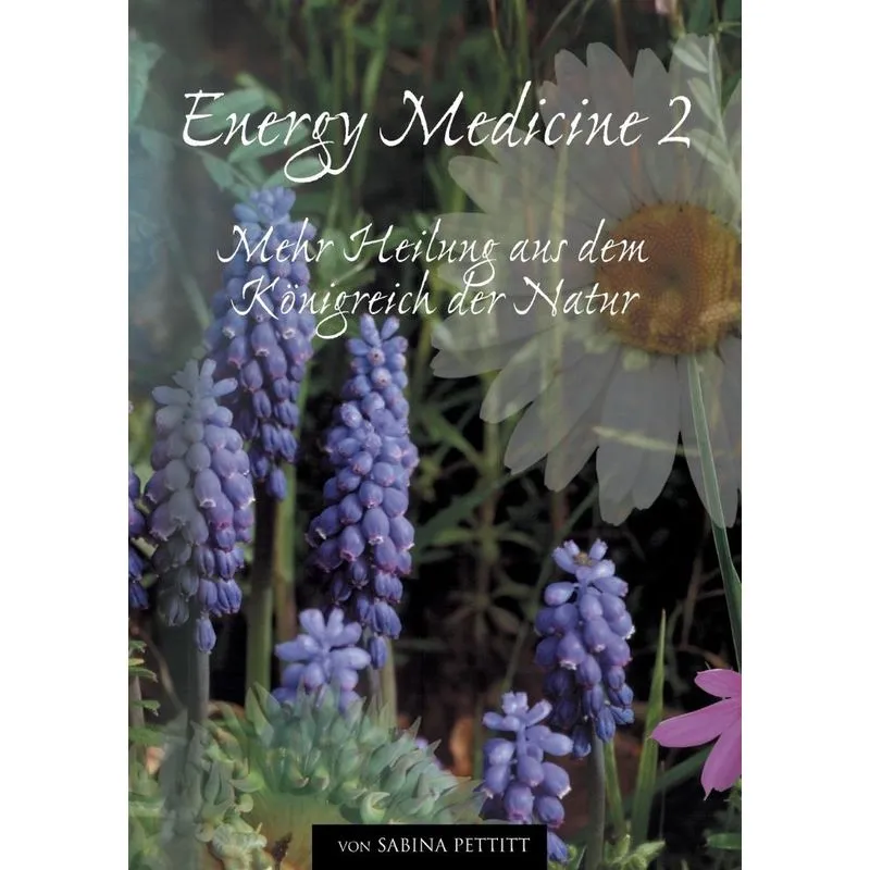 Energy Medicine 2