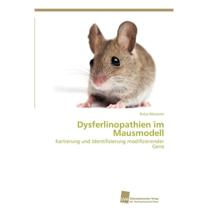 Dysferlinopathien im Mausmodell