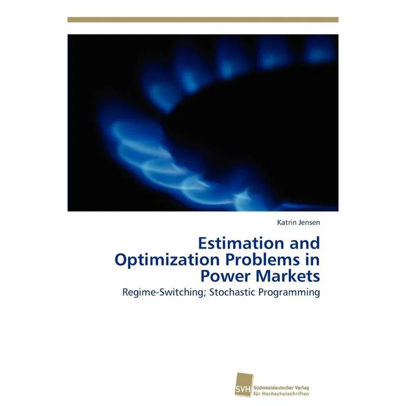 Estimation and Optimization Problems in Power Markets