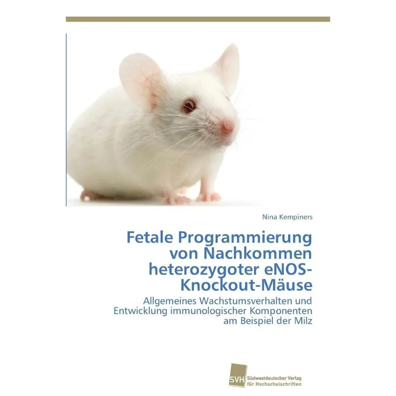 Fetale Programmierung Von Nachkommen Heterozygoter Enos-kno