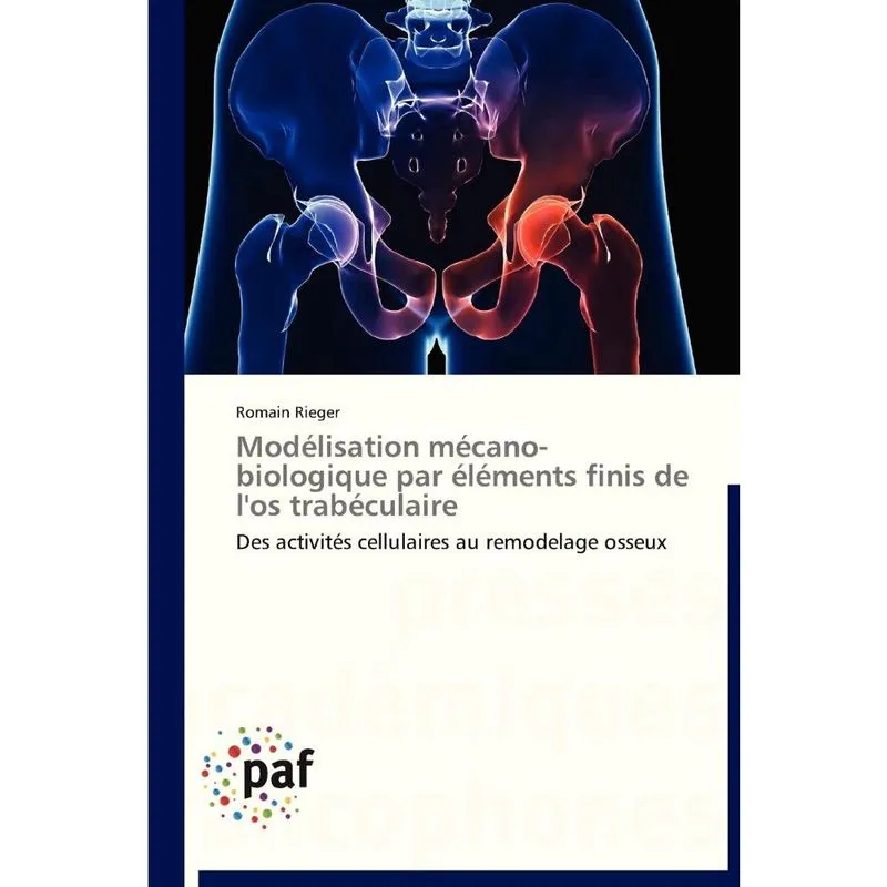 Modélisation mécano-biologique par éléments finis de los trabéculaire